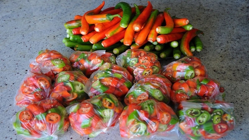 Is it possible to freeze hot peppers for the winter: how to preserve the hot vegetable correctly