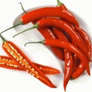 Is it possible to freeze hot peppers for the winter: how to preserve the hot vegetable correctly
