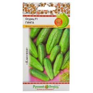 Hybrid cucumber Ginga f1 from German breeders