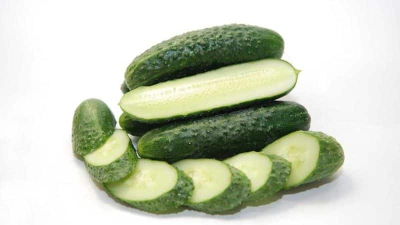 Tips for growing Masha F1 cucumbers: how to get a good harvest in winter