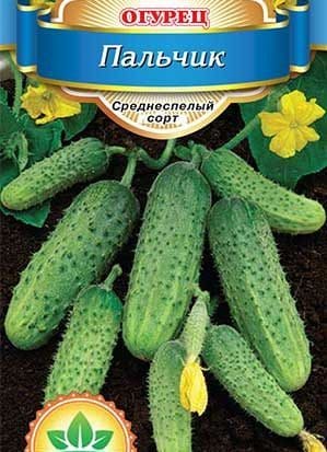 A productive and easy-to-care variety of Fingers cucumbers with excellent tasty fruits