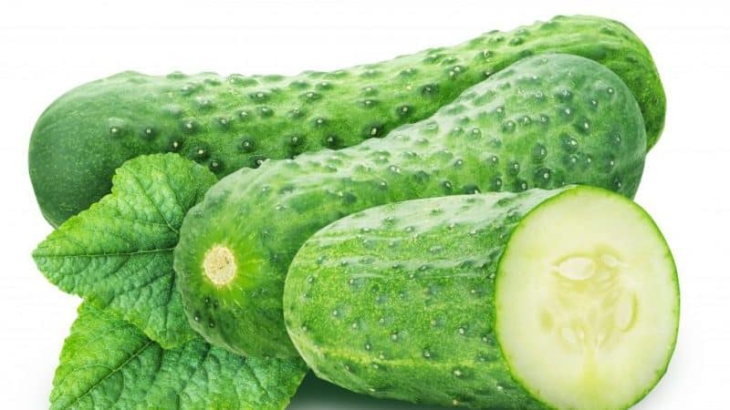 The Vyaznikovskie cucumber variety is incomparable fresh and good for winter preparations