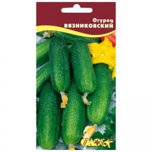 The Vyaznikovskie cucumber variety is incomparable fresh and good for winter preparations