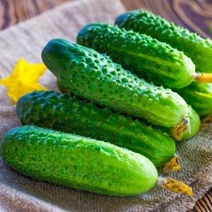 Domestic hybrid of Garland cucumbers, which will delight you with a rich harvest