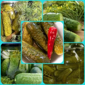 Why pickled cucumbers shriveled and how to make preparations correctly to avoid this
