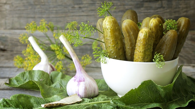 Why are pickles empty inside and how to make them correctly, preventing this problem