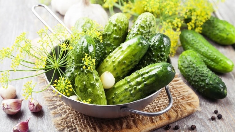 Why are pickles empty inside and how to make them correctly, preventing this problem