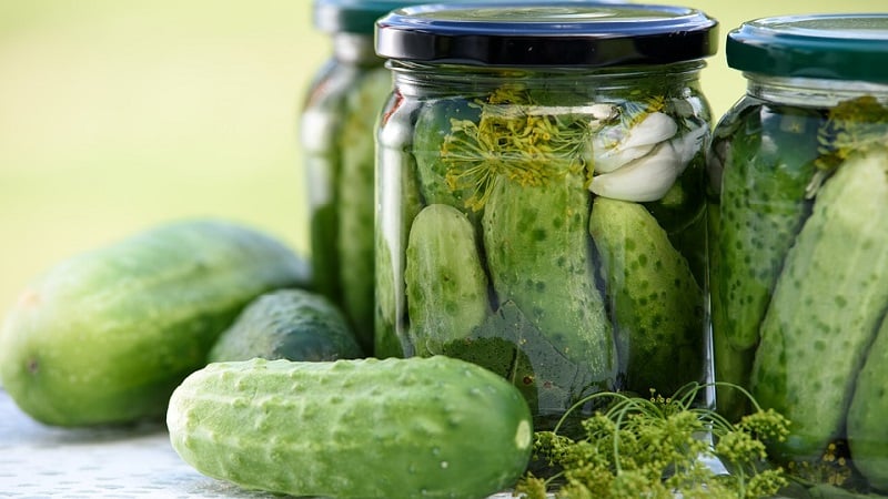 Why are pickles empty inside and how to make them correctly, preventing this problem