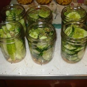 A selection of the best recipes for preparing cucumber slices for the winter