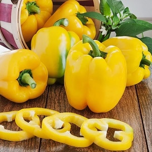 The benefits and harms of yellow bell peppers and is there a difference between the colors of the vegetable?