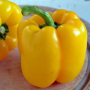 The benefits and harms of yellow bell peppers and is there a difference between the colors of the vegetable?
