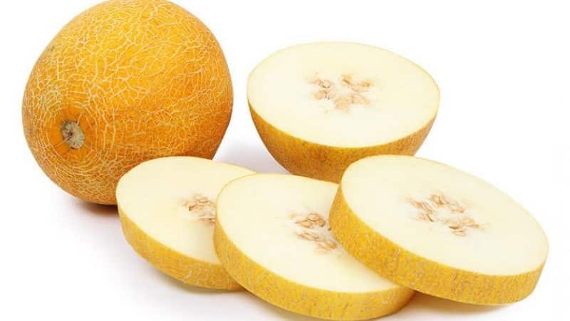 Popular melon Kolkhoznitsa: calorie content, benefits and harm to the body