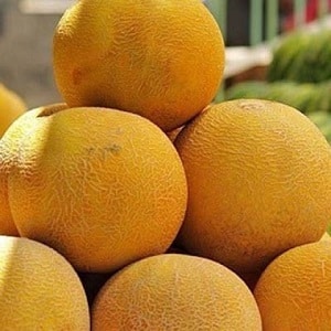 Popular melon Kolkhoznitsa: calorie content, benefits and harm to the body