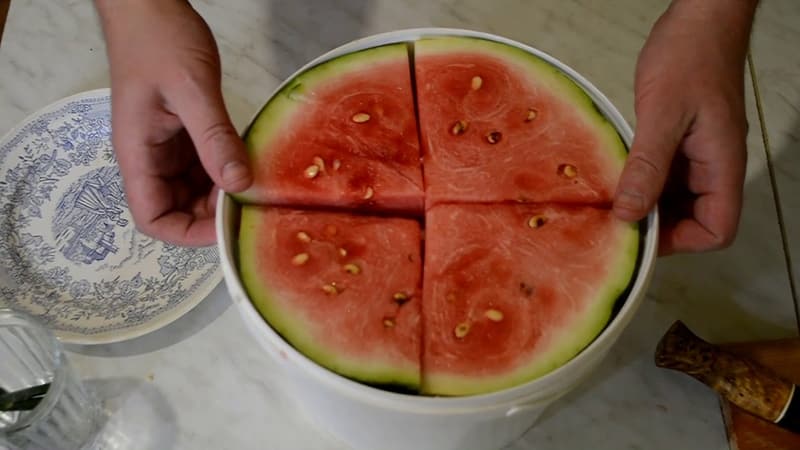 How to salt watermelons in a saucepan in pieces quickly, simply and tasty