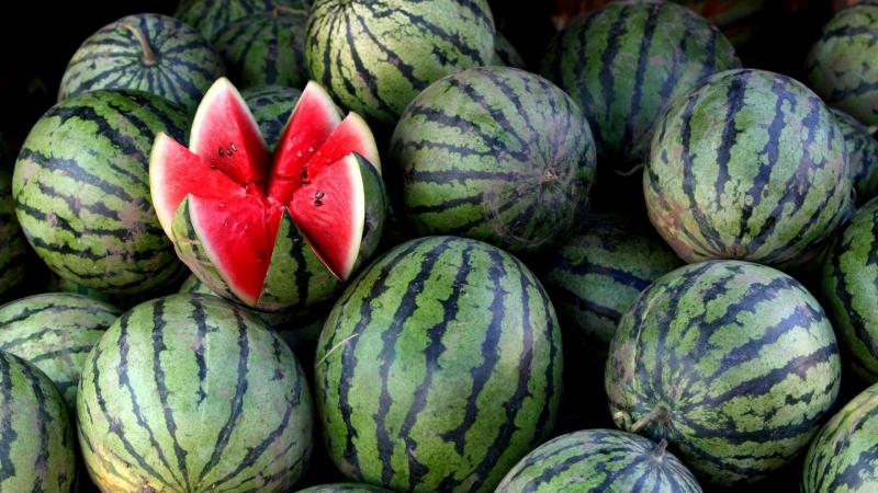 Reasons why watermelon is bitter and is it possible to eat such a fruit?