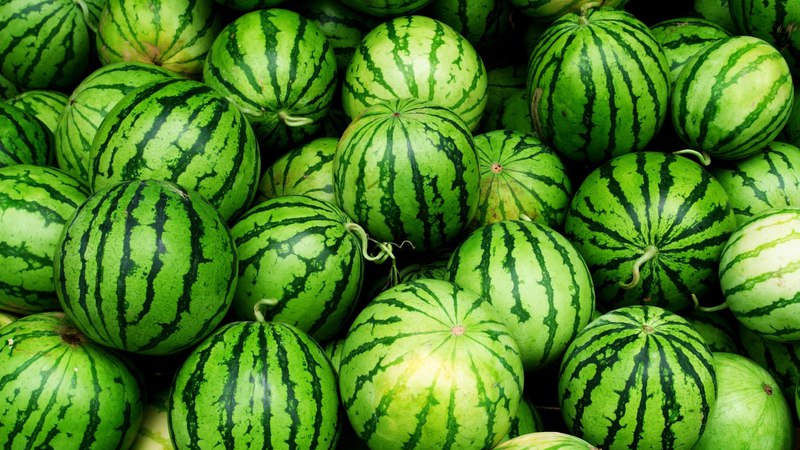Reasons why watermelon is bitter and is it possible to eat such a fruit?