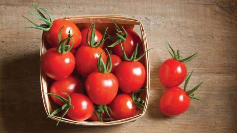 We'll tell you and show you how to keep tomatoes fresh for a long time: interesting life hacks from experienced owners