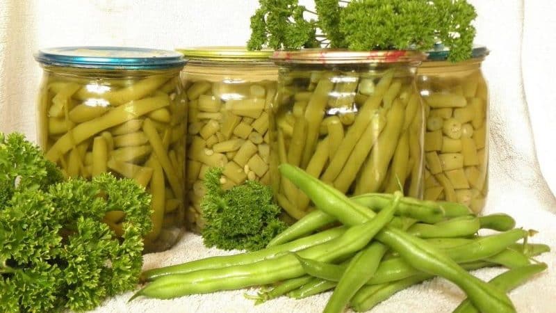 The best recipes for pickled green beans for the winter: we make delicious preparations from simple ingredients