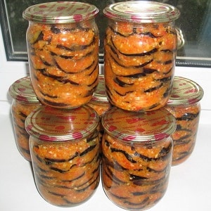 The most delicious recipes for pickling eggplants for the winter in jars from experienced housewives
