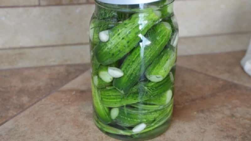 Secrets of quick preparation of pickled cucumbers
