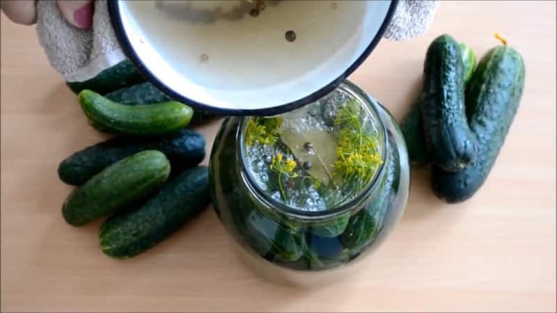Secrets of quick preparation of pickled cucumbers