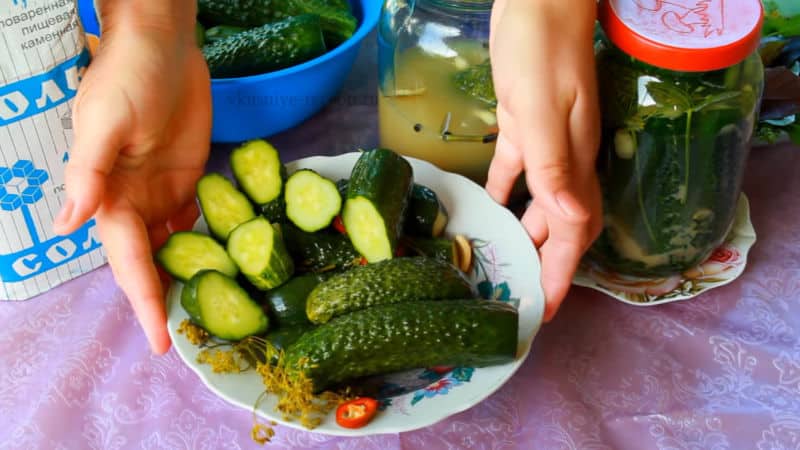 Secrets of quick preparation of pickled cucumbers