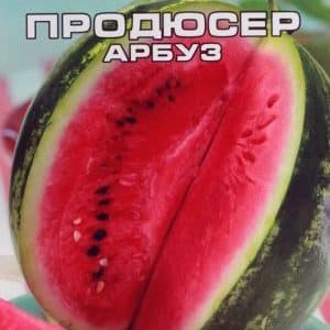 Is it worth buying watermelon seeds Producer: review of the variety by American breeders, its advantages and disadvantages