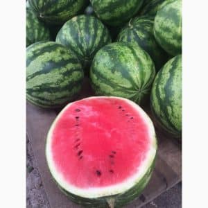 Is it worth buying watermelon seeds Producer: review of the variety by American breeders, its advantages and disadvantages