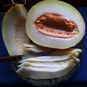 Sweet and aromatic Uzbek melon Gulyabi: how to choose and how to grow it yourself