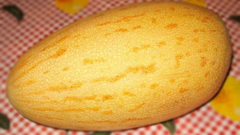 Sweet and aromatic Uzbek melon Gulyabi: how to choose and how to grow it yourself