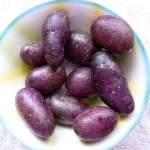 Amateur table potato variety Gypsy with purple skin and white flesh