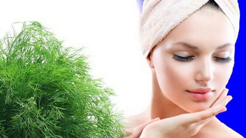 Dill for women: benefits for the body