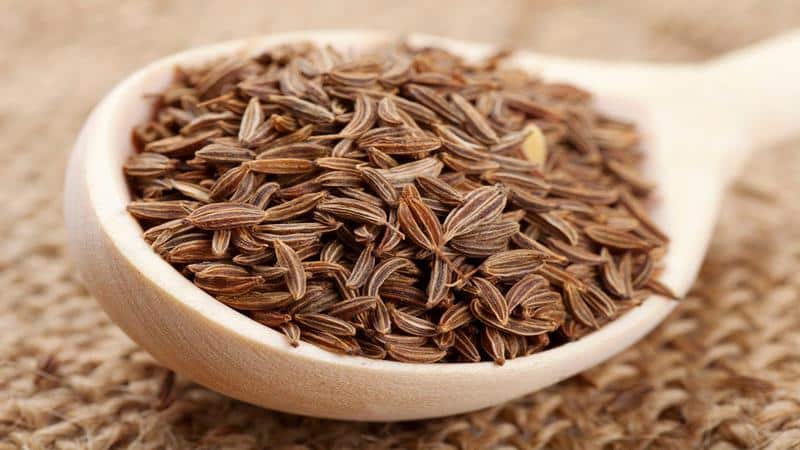 Are dill and caraway the same thing or not: let’s understand the issue and learn to distinguish between them