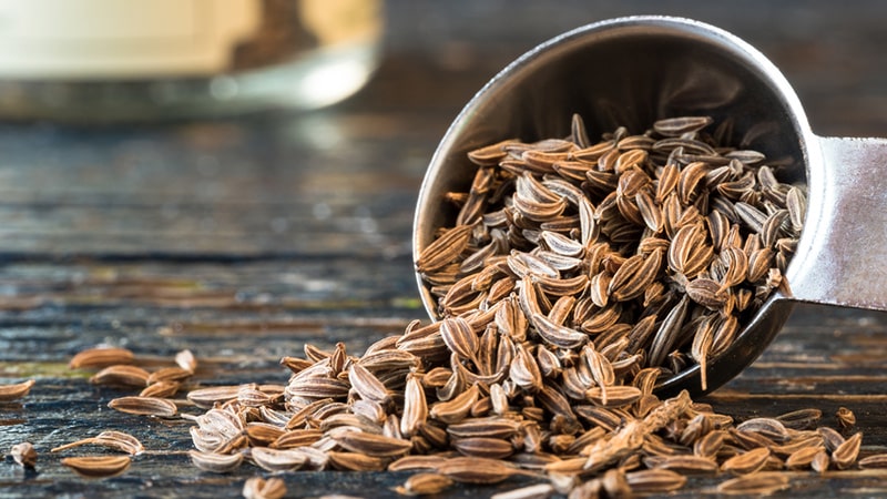 Are dill and caraway the same thing or not: let’s understand the issue and learn to distinguish between them