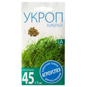 Recommendations for caring for and growing Kibray dill: how to protect against pests and properly harvest