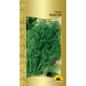 Recommendations for caring for and growing Kibray dill: how to protect against pests and properly harvest