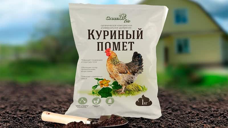 Choosing the best fertilizer for radishes and applying the fertilizer correctly