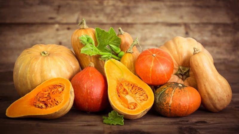 What to do if you are allergic to pumpkin: treat effectively and prevent in advance
