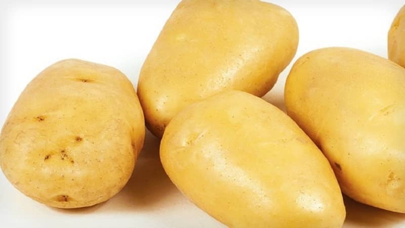 What is good about the German potato variety Zekura: description, characteristics and reviews