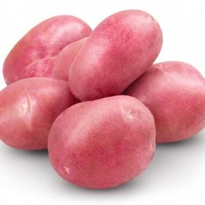 Mid-early potato variety Krasavichik with amazing taste