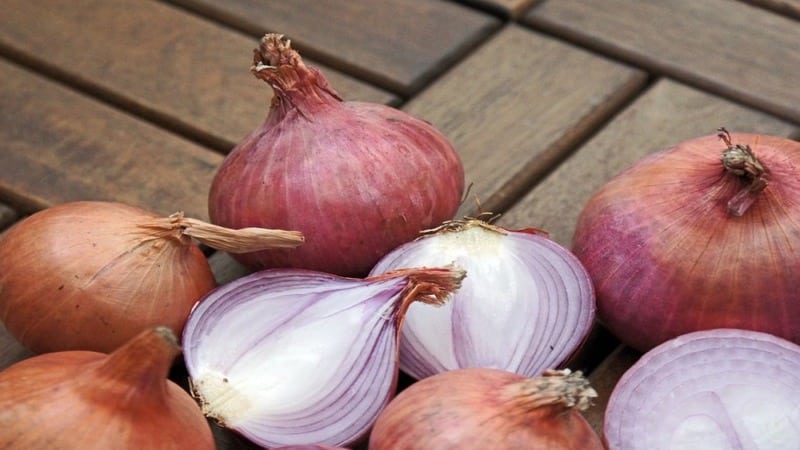 Onion hair masks for the treatment of baldness