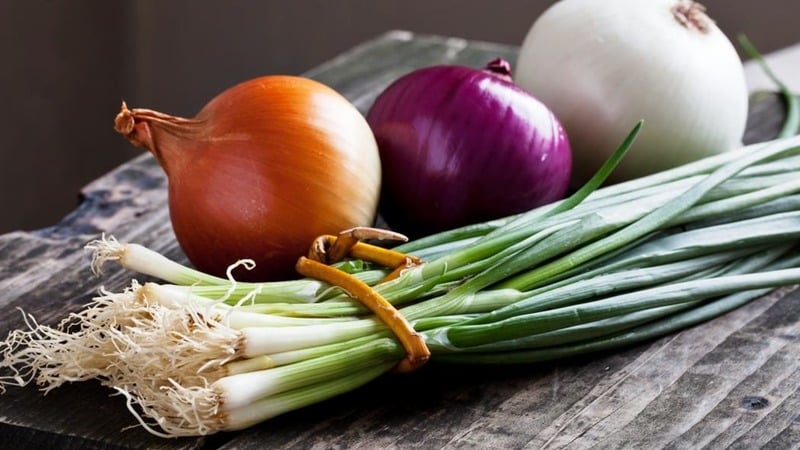 We follow the rules of crop rotation: what can be planted after onions next year and what should not be planted