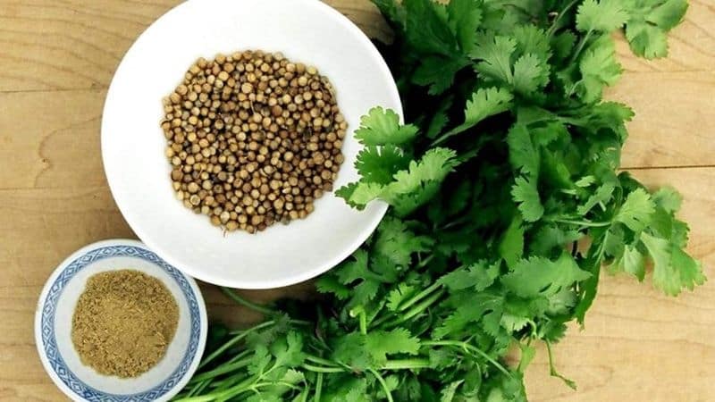 How to distinguish cilantro from parsley