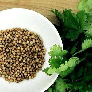How to distinguish cilantro from parsley
