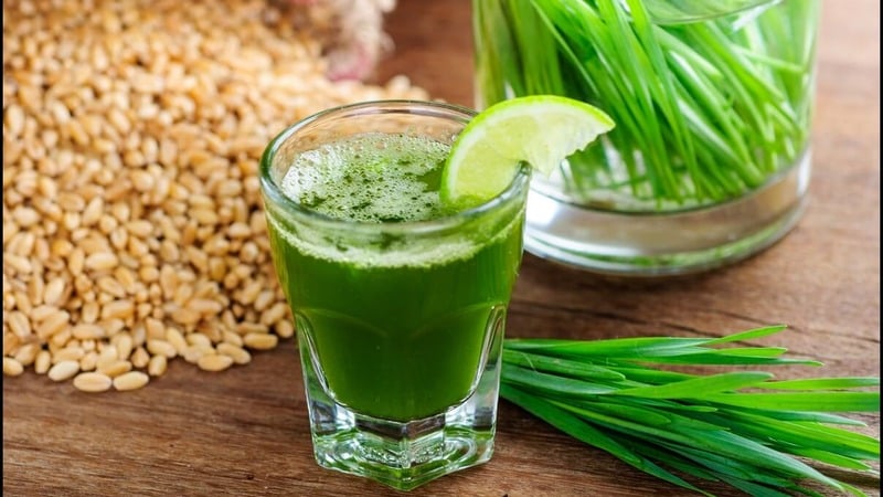Maximum benefits in one glass: prepare and drink wheatgrass juice correctly
