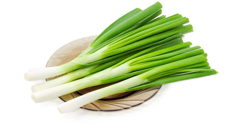 Health benefits and harms of leeks: what is good for them and how to use them correctly