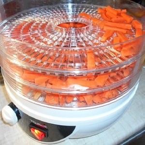 What is good about dry carrots, how to prepare them correctly and where to use them