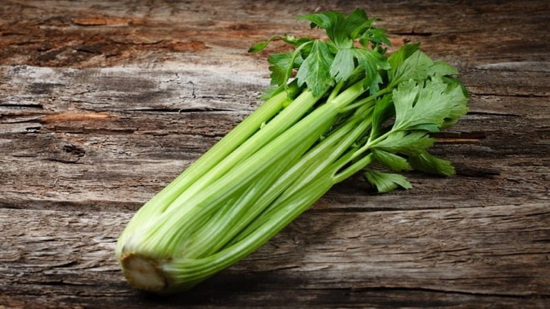 What is the difference between lovage and celery or are they the same thing?