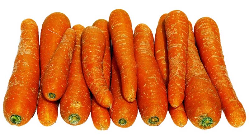 Can an allergy to carrots occur, how does it manifest itself and how is it treated?