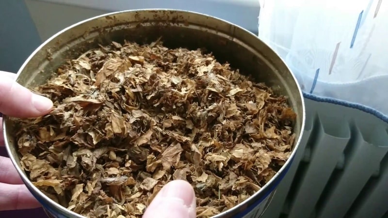 How and with what to properly flavor tobacco at home